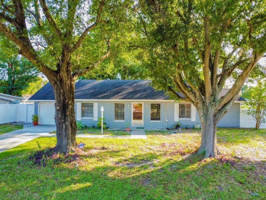 Вилла Town 'N' Country Cozy Corner, Your Florida Fun Hub Тампа Экстерьер фото